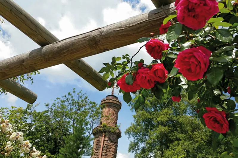 Duft-Rosengarten Freudenstadt