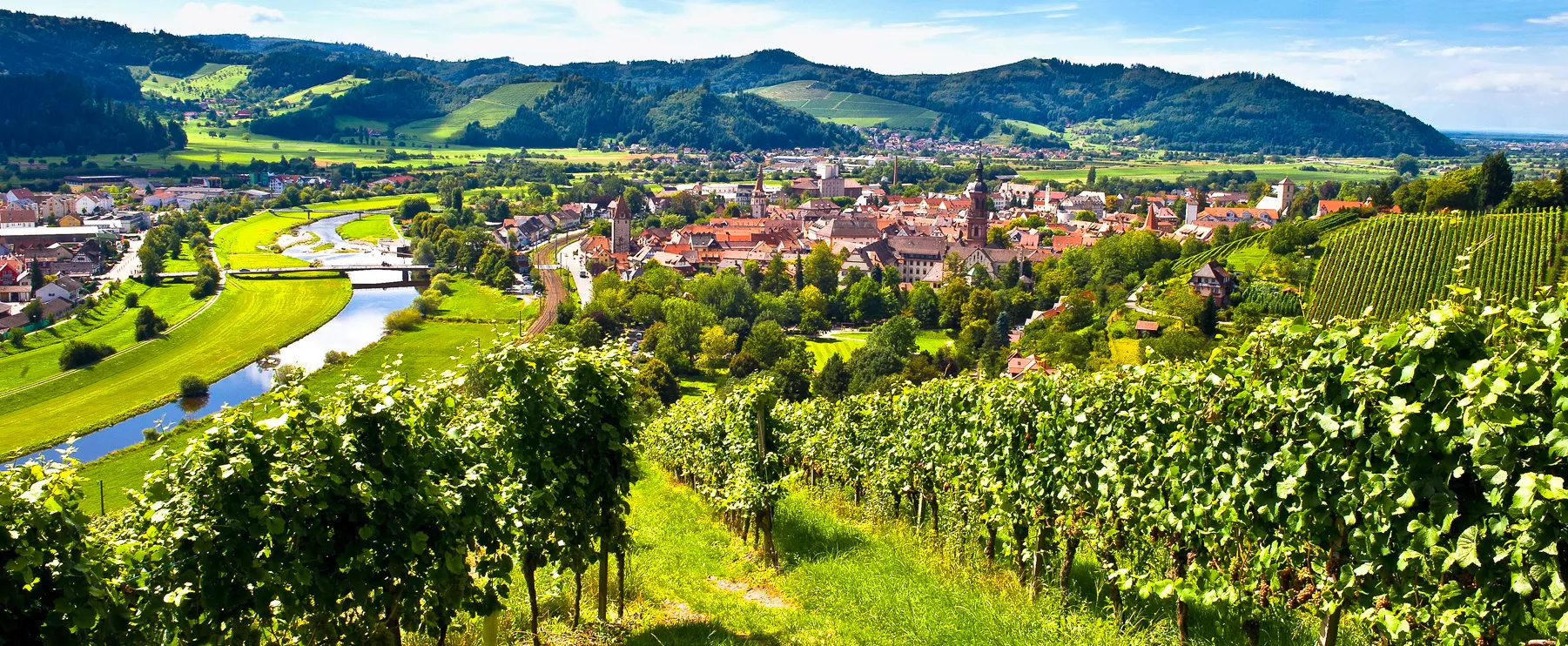 Gengenbach Panorama Foto: D. Wissing