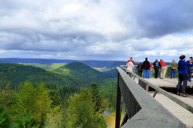 Heimatpfad Kniebis Aussichtsplattform Ellbachseeblick