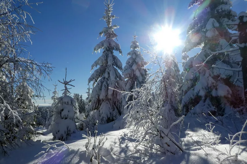 Wintertraum auf dem Kniebis