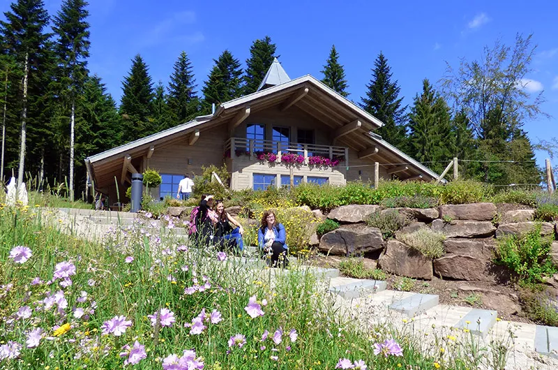 Oberhalb-vom-Freudenstadt Berghuette Lauterbad