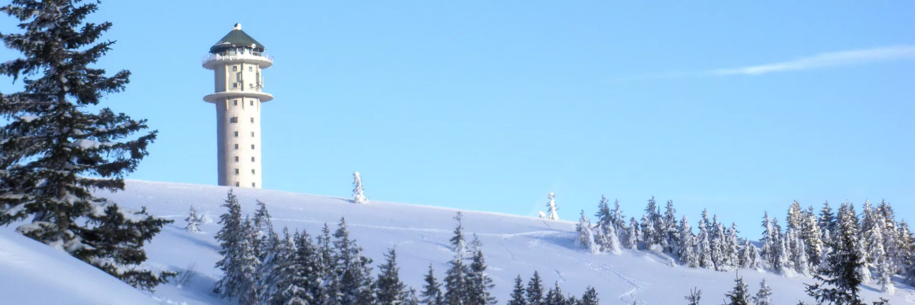 Schwarzwald erleben - Feldberg