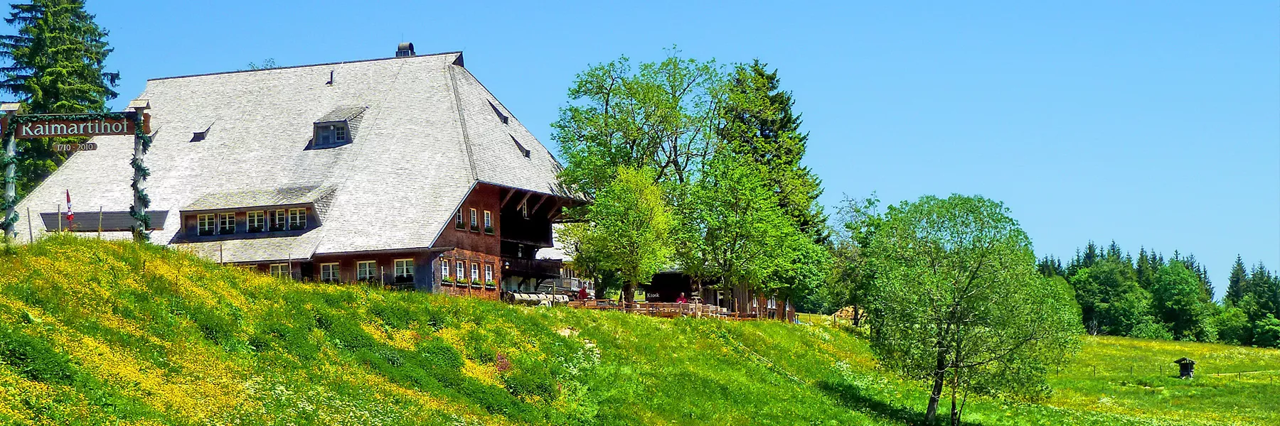 Schwarzwald erleben