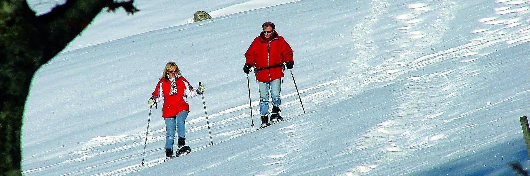 Schwarzwald erleben - Schwarzwaldwinter