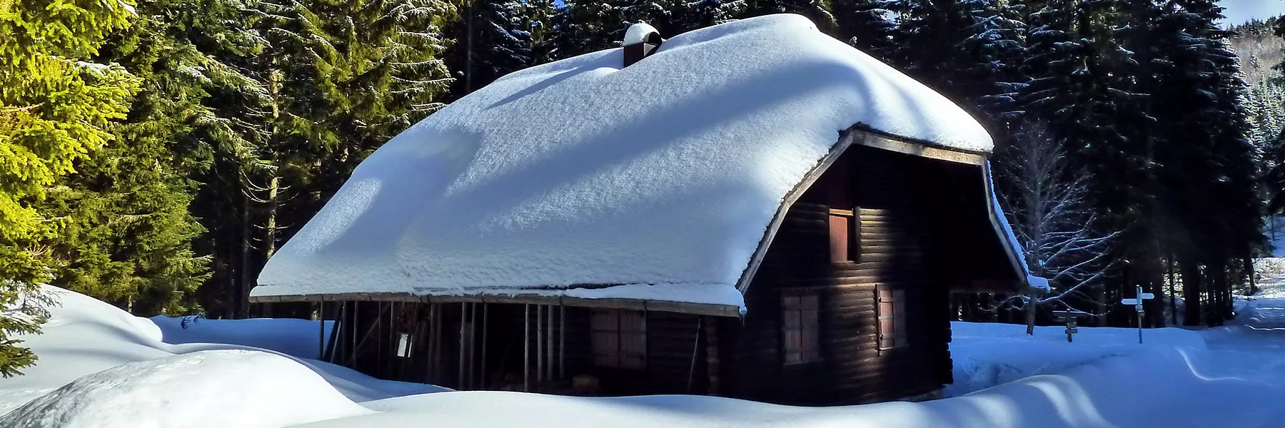 Schwarzwald erleben - verschneite Hütte