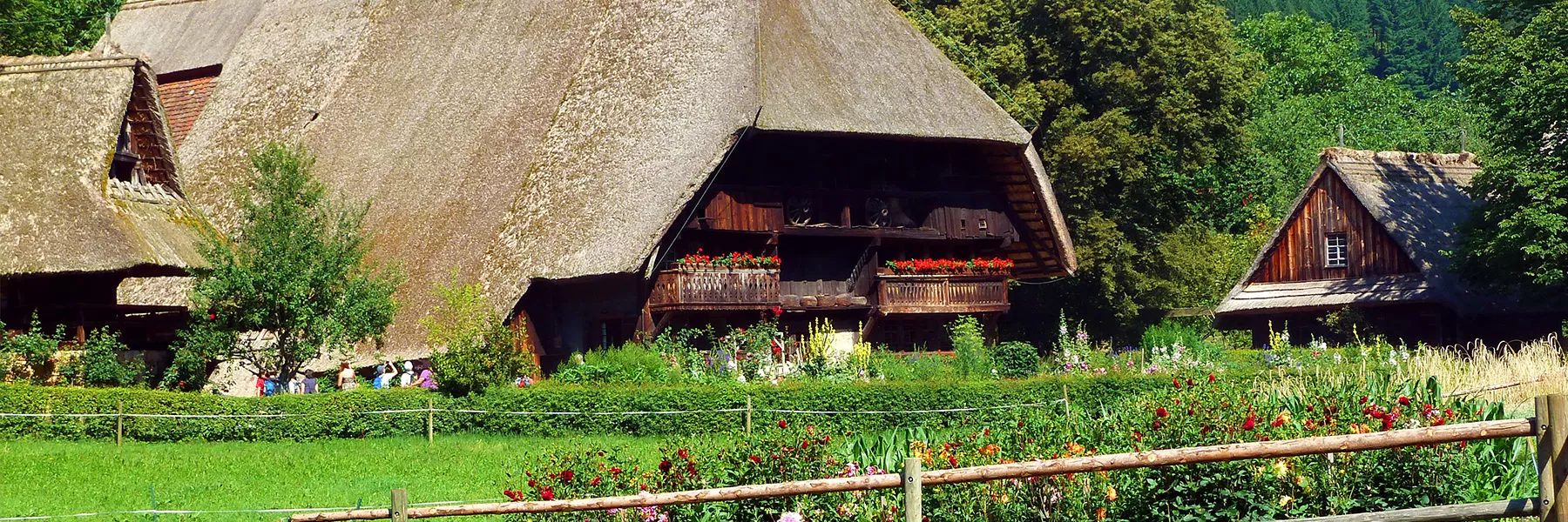 Schwarzwald erleben