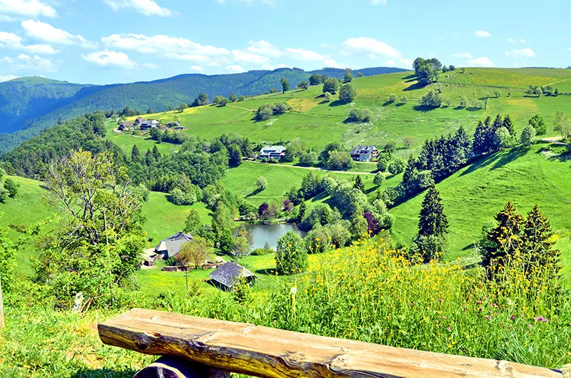 Blick vom Schauinsland auf dem Dobelsee