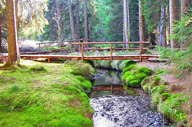 Rönisch Bächle Zauberwald Bernau