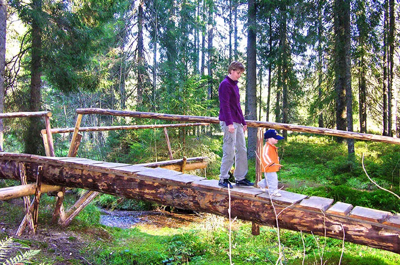 Zauberwald-Brücke Zauberwald Bernau