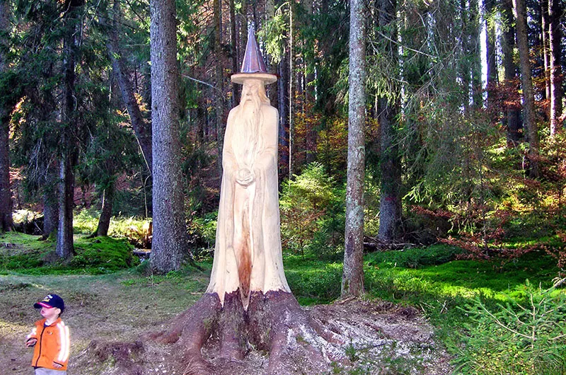 Der Zauberwaldpfad im Taubenmoos