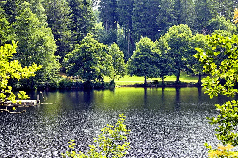 Schluechtsee Schlühüwanapark Grafenhausen