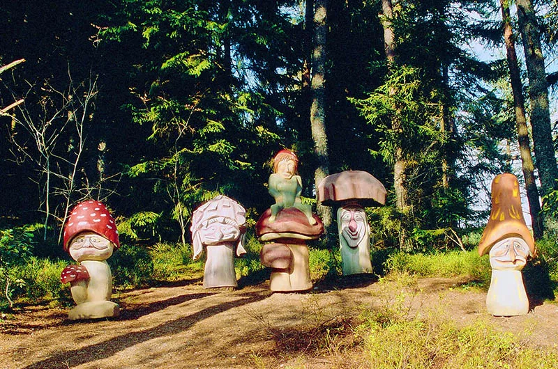 Waldpilz-Gesellschaft Schlühüwanapark Grafenhausen