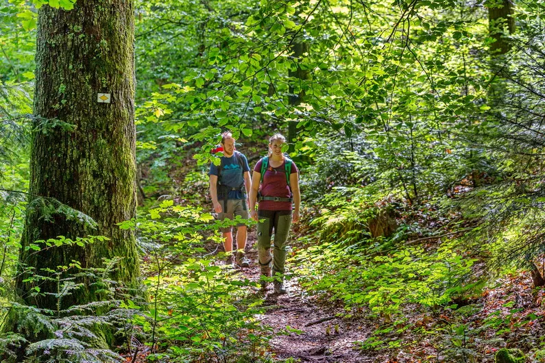 Wandern und in der Natur übernachten