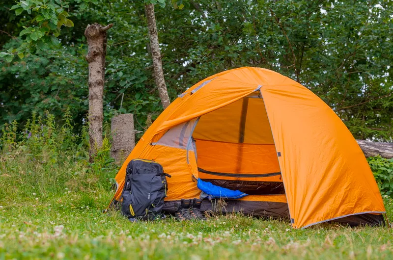 Abenteuer im Wald