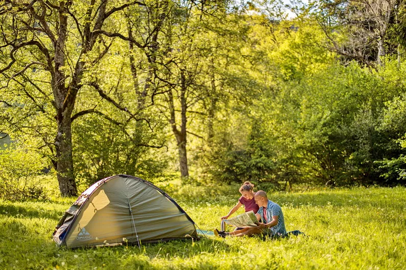 Ein traumhaft schöner Morgen in der Natur