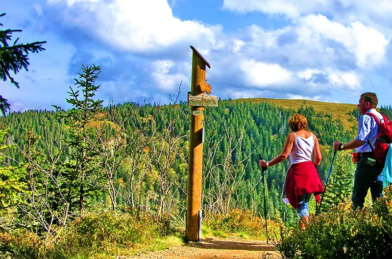 Wanderer im Feldberggebiet