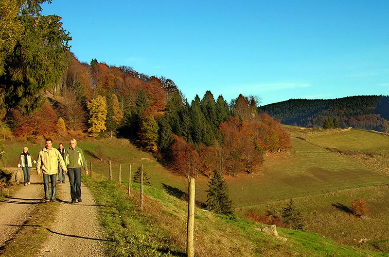 Wanderer auf dem Panoramaweg Holz - Herrenschwand