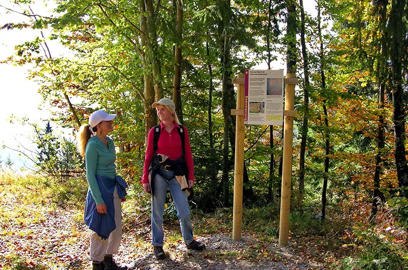 Wanderer auf dem Schinkenweg Höchenschwand