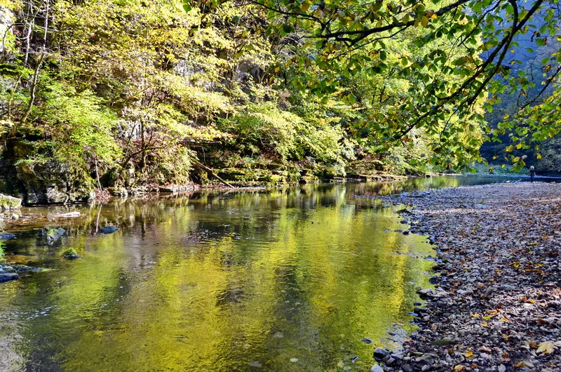 Herbstliche Wutachschlucht