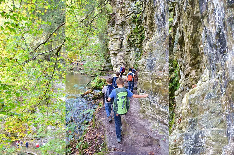 Wanderpfad in der Wutachschlucht