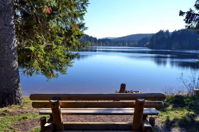 Windgfaellweiher Südschwarzwald