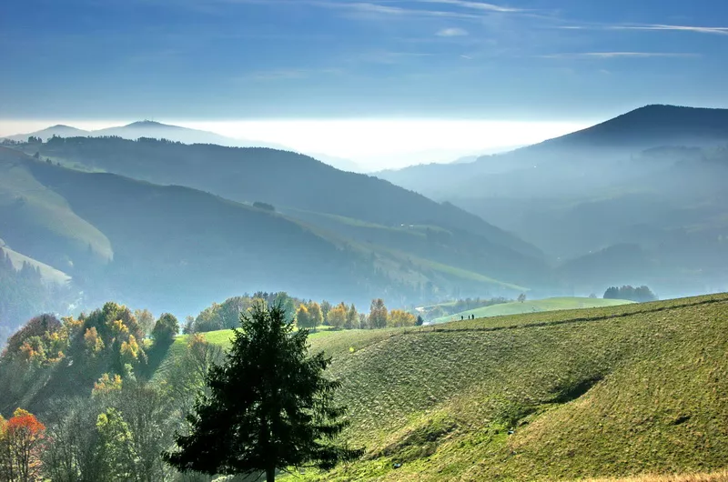 Schwarzwald-Panorama Westweg