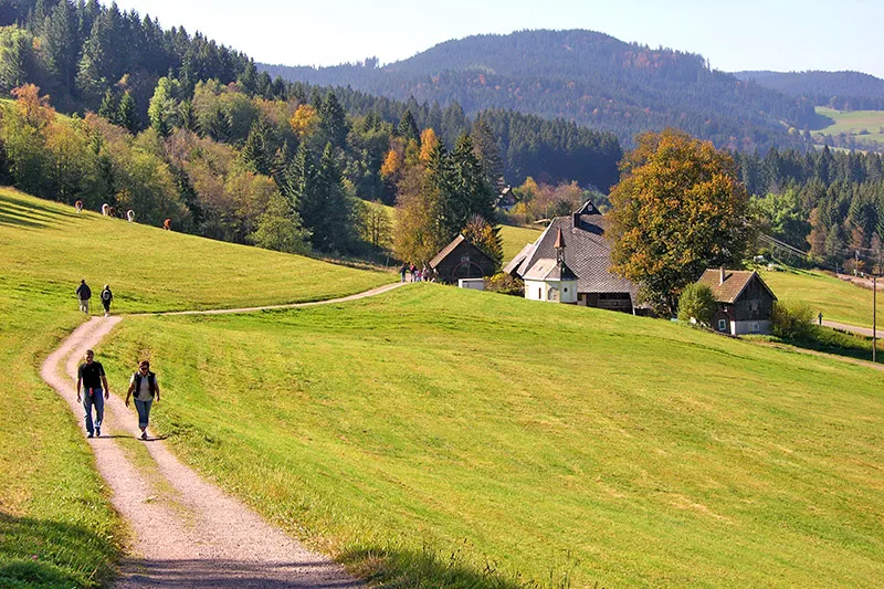 Jockelehof Titisee Schluchtensteig