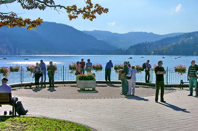 Titisee Westweg