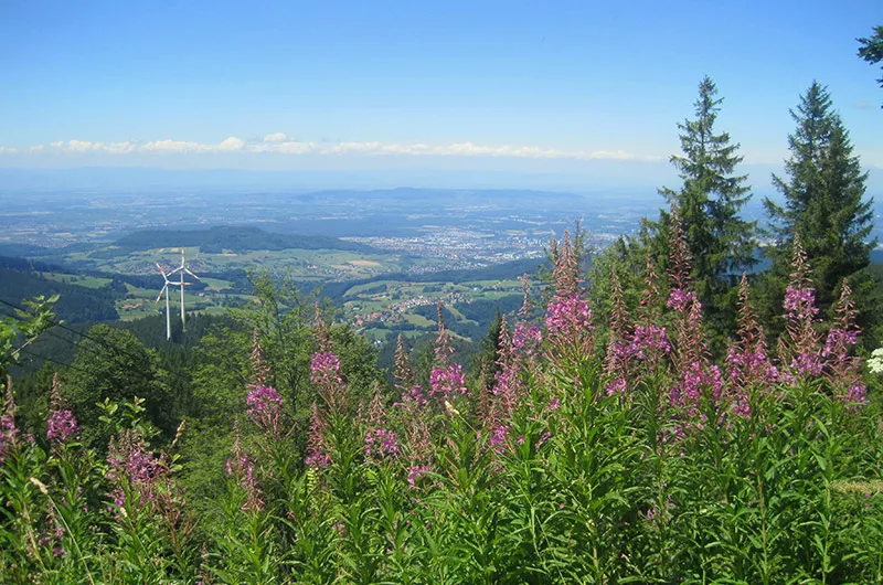 Schauinsland