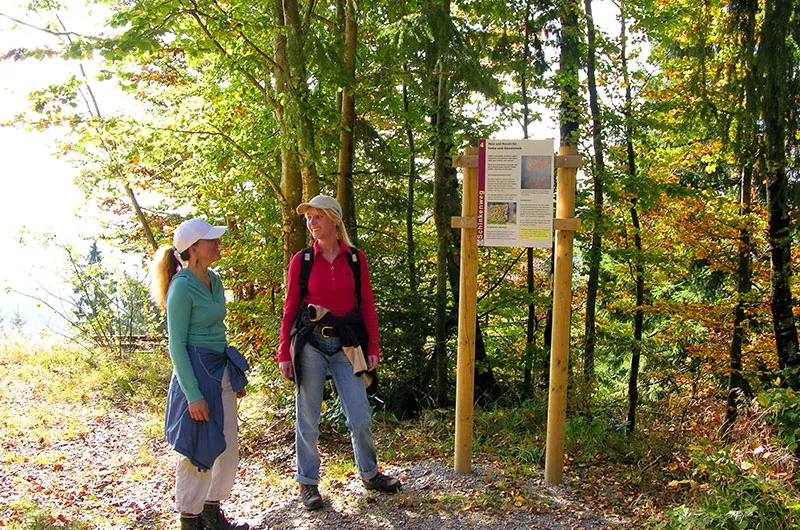 Infotafel Schinkenweg