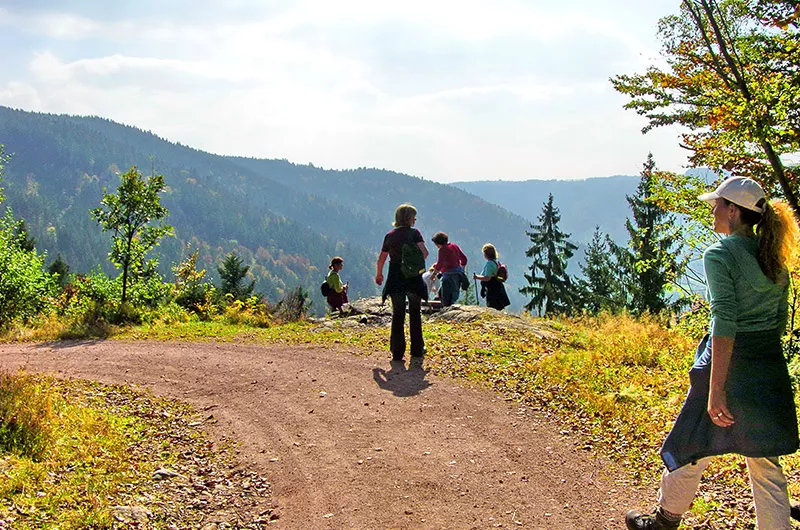 Schinkenweg Aussichtsfelsen