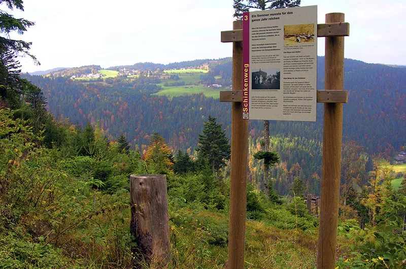 Schinkenweg Höchenschwand