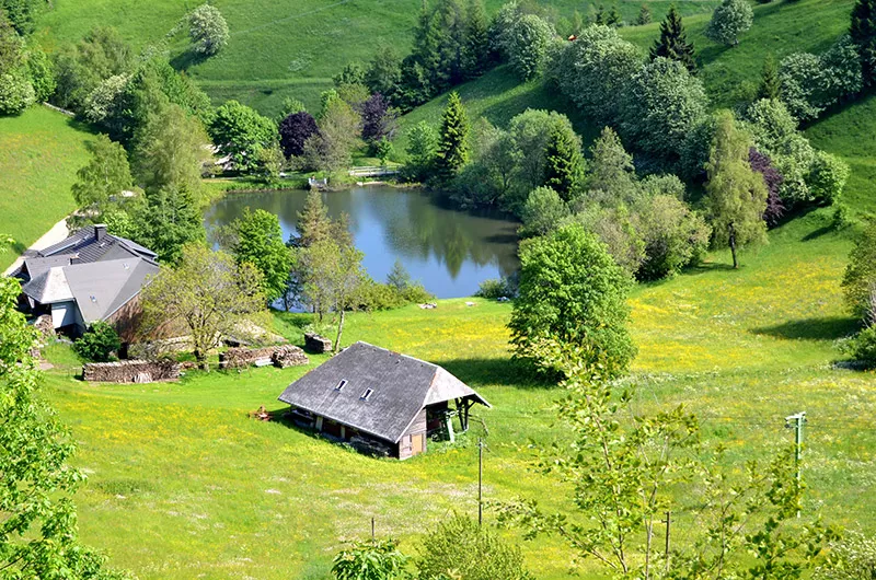 Dobelesee Hofgrund