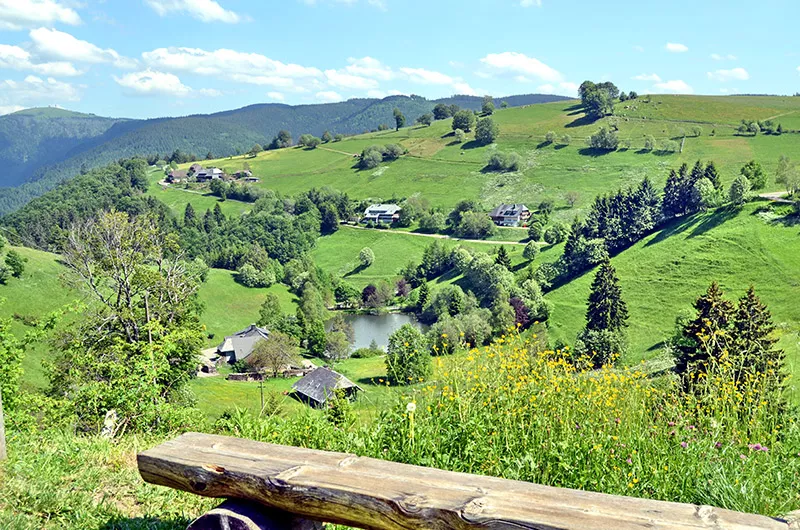 Schauinsland