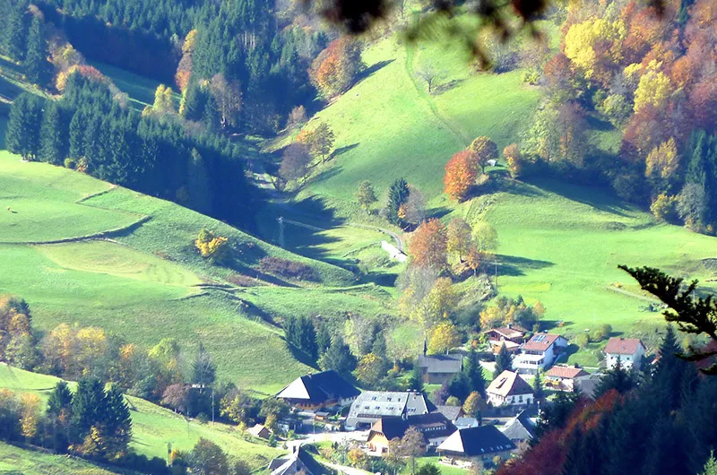 Aussicht vom Hochkopfturm Todtmoos