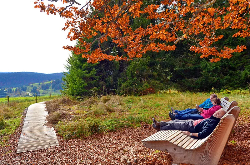 Himmelsliegen auf dem Lebküchlerweg