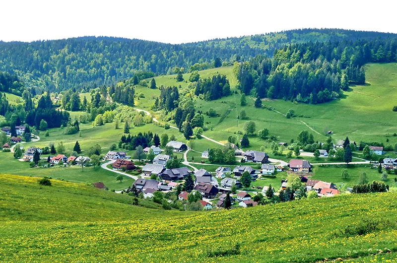 Todtmoos im Frühling