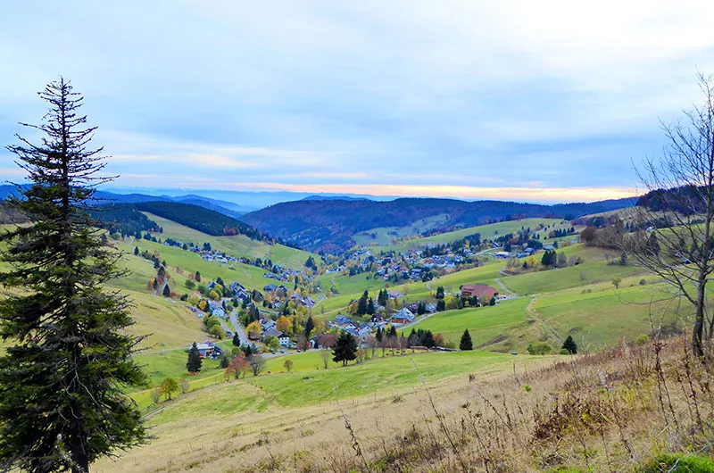 Blick auf Todtnauberg