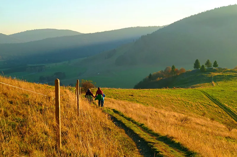 Abendstimmung auf dem Bernauer Hochtalsteig