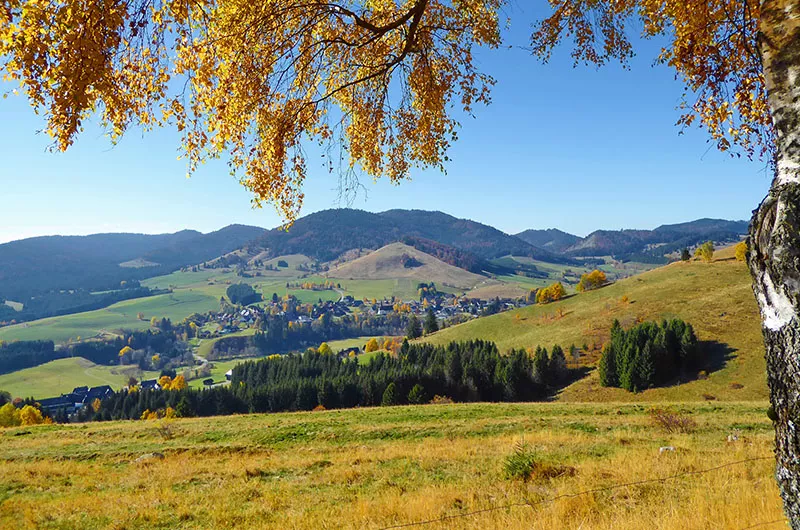 Blick auf Bernau