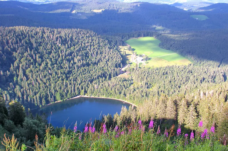 Erlebnis Feldbergsteig