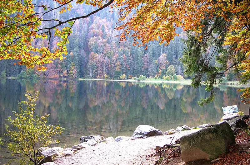 Herbststimmung am Feldsee