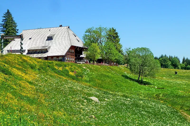 Raimartihof Feldberg