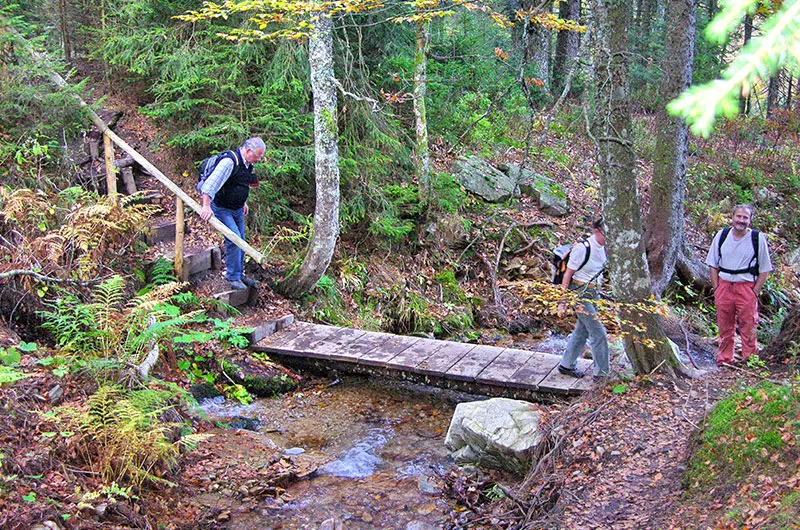 Wanderer auf dem Feldbergsteig