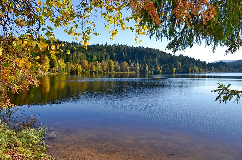 Windgfaellweiher Radtour Schluchsee-Urseetal