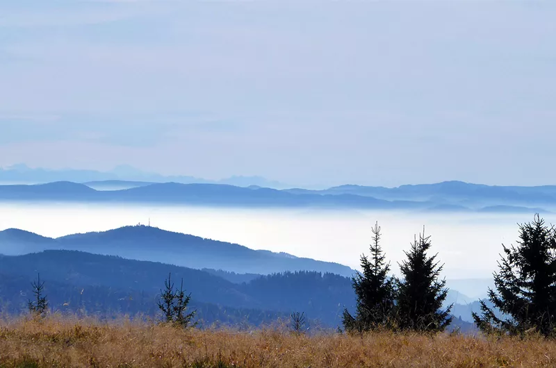 Schwarzwaldaussicht Schwarzwald-Panoramaradweg